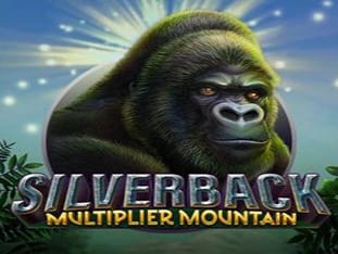 Silverback Multiplier Mountain screenshot